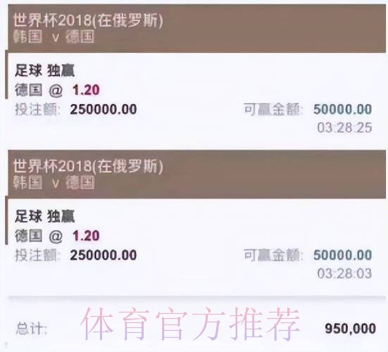 世界杯投注入口热门平台深度解读
